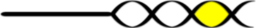 Twister Class Association Logo